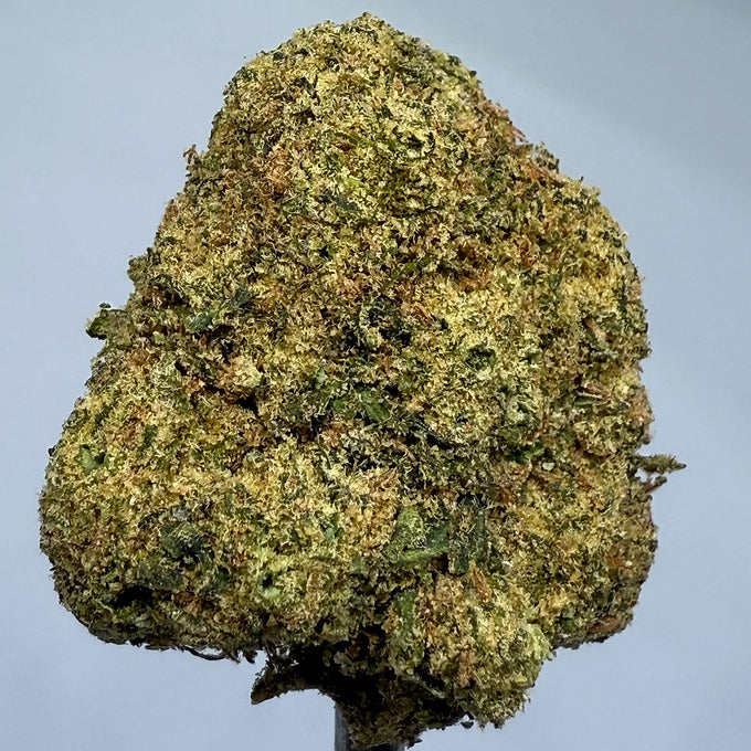 Muel Fuel (Hybrid) 30.37% THCa