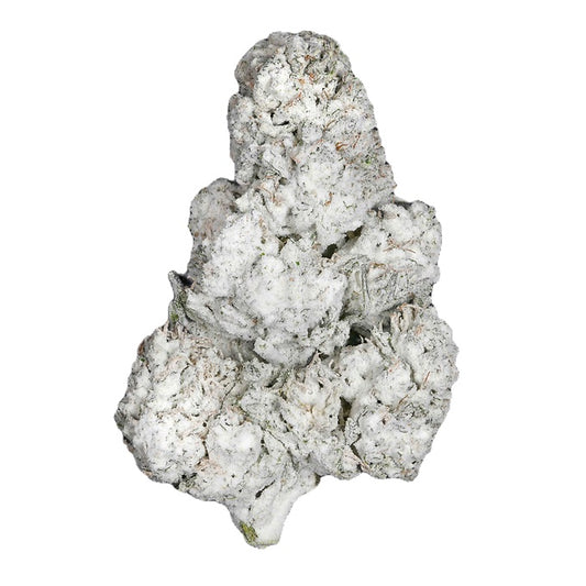 Snowcaps-Girl Scout Cookies 63.09% THCa (Indica)