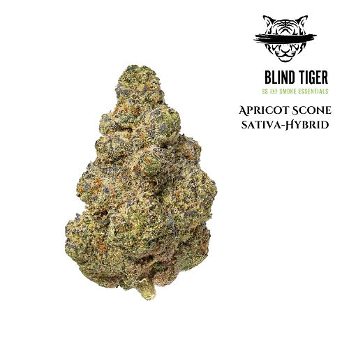 Apricot Scone (Sativa-Hybrid) 25.36% THCa