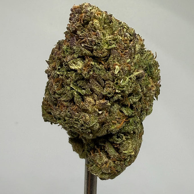 Koala (Sativa-Hybrid) 28.60% THCa