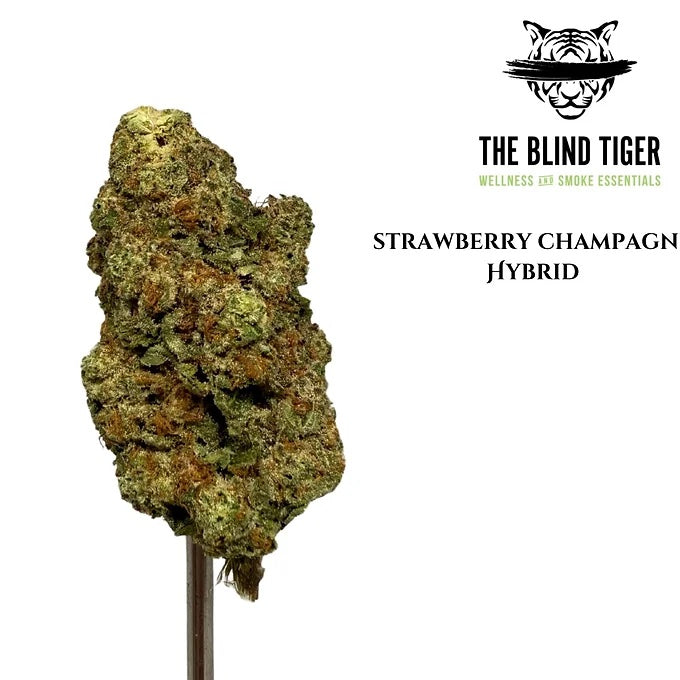 Strawberry Champagne (Hybrid) 22.93% THCa