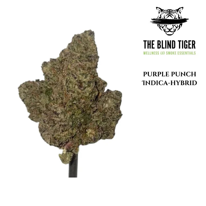 Purple Punch (Hybrid) 32.58% THCa