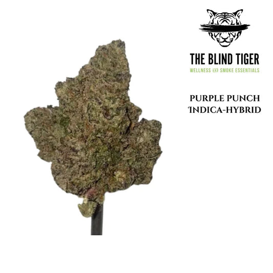 Purple Punch (Hybrid) 32.58% THCa